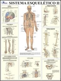 MAPA SISTEMA ESQUELÉTICO II